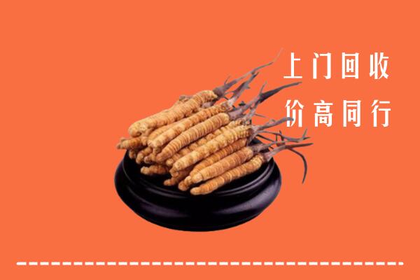 高价求购：廊坊大厂回收散虫草